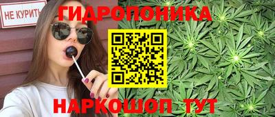 стафф Краснознаменск