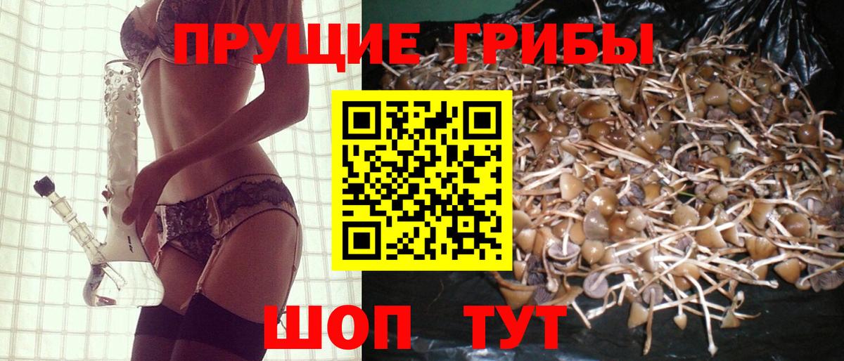 Галлюциногенные грибы Psilocybe Котельники
